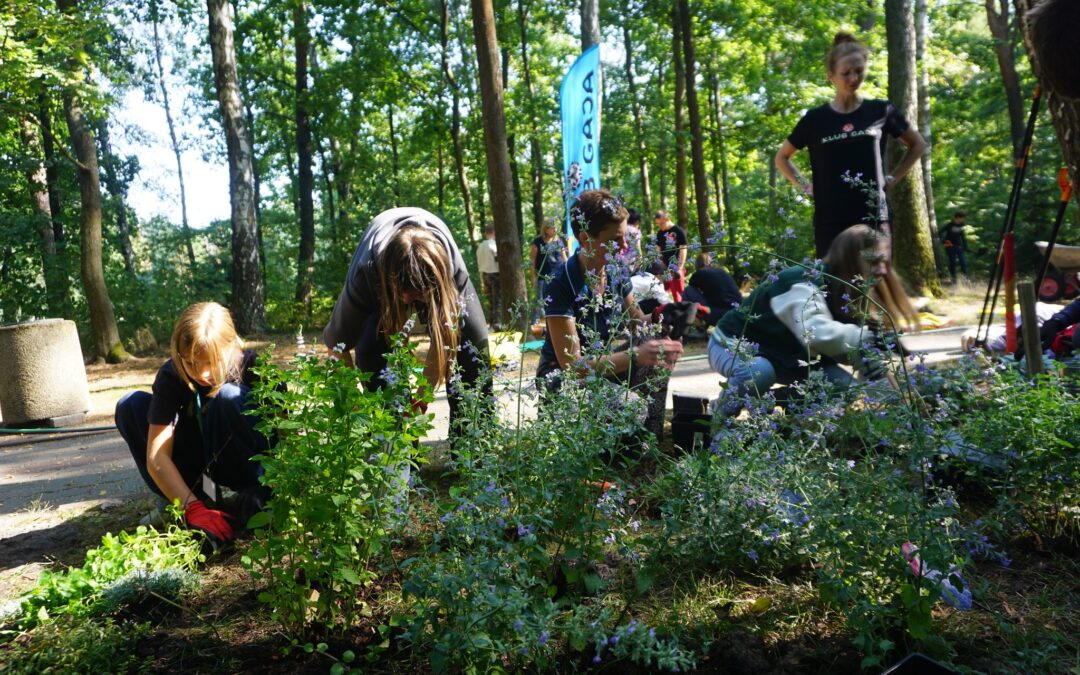 Ścieżka sensoryczna, grządki, budki dla zwierząt w CREiO TPD „Helenów”