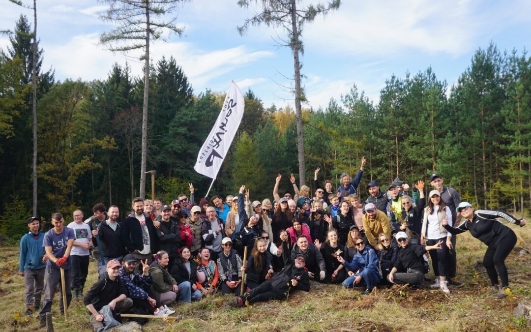 Land Keeper – fryzjerzy Davines z Klubem Gaja posadzili 2100 drzew