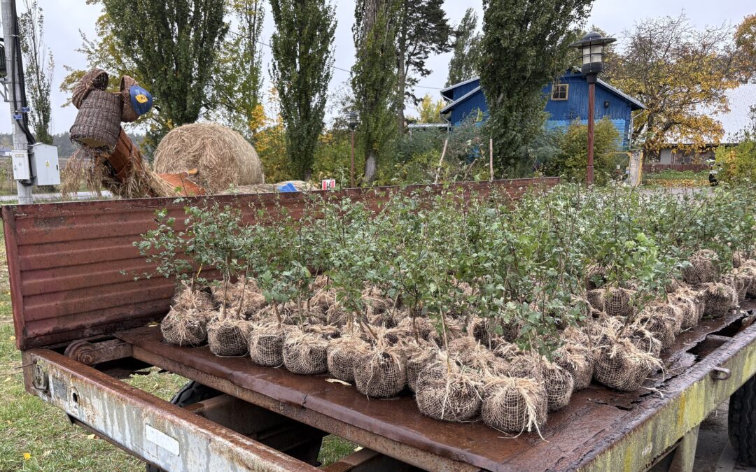 Land Keeper – fryzjerzy Davines z Klubem Gaja w Grzybowie