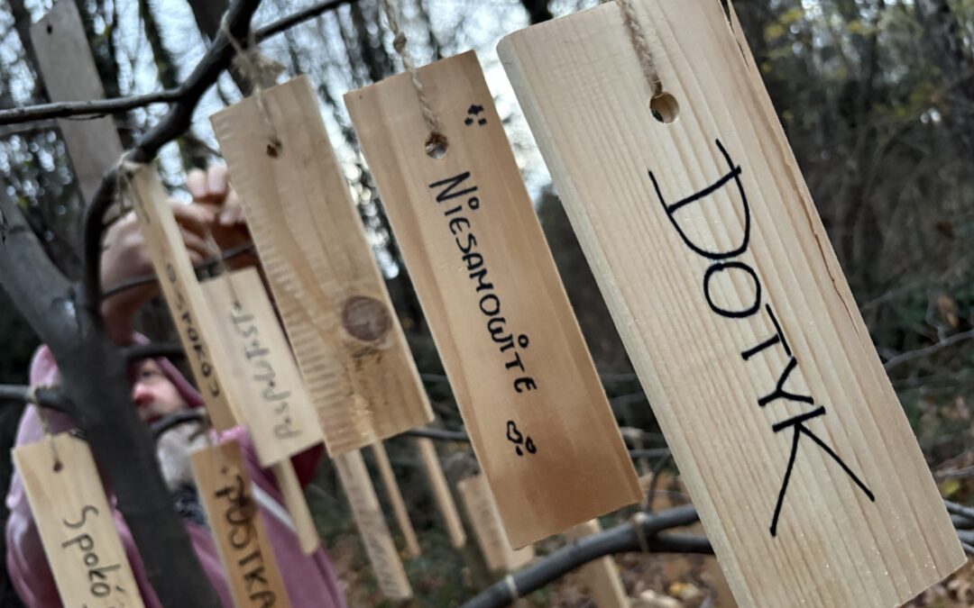 Tajemniczy Ogród – spotkanie Ashoki w Bielsku-Białej