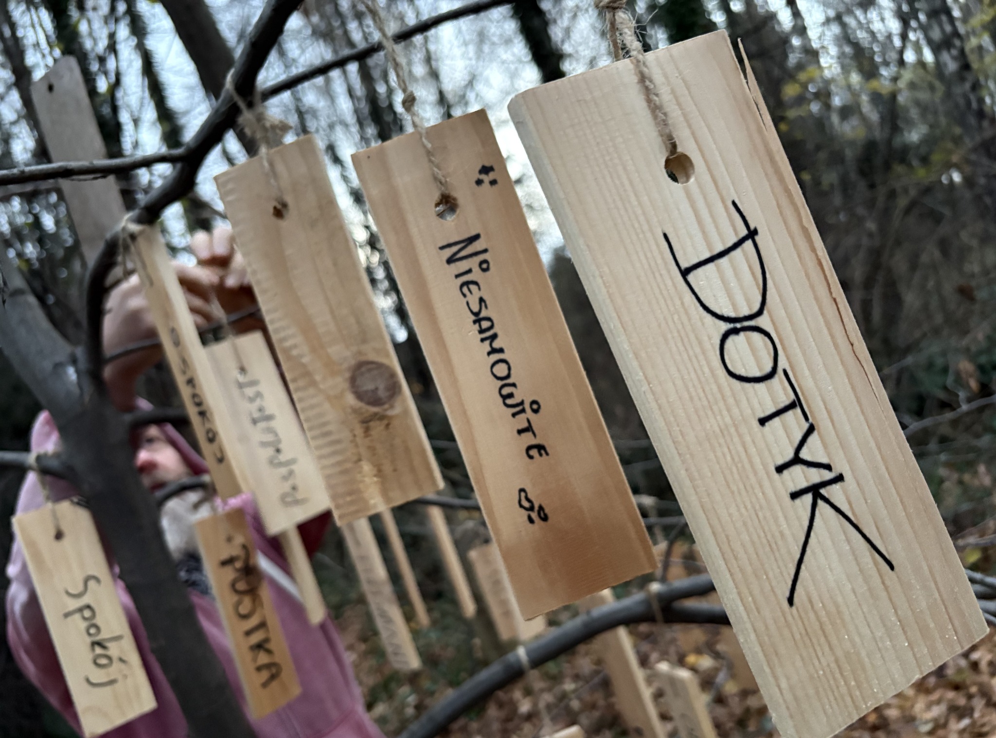 591729811_1251404057017779_3728038609486476607_n