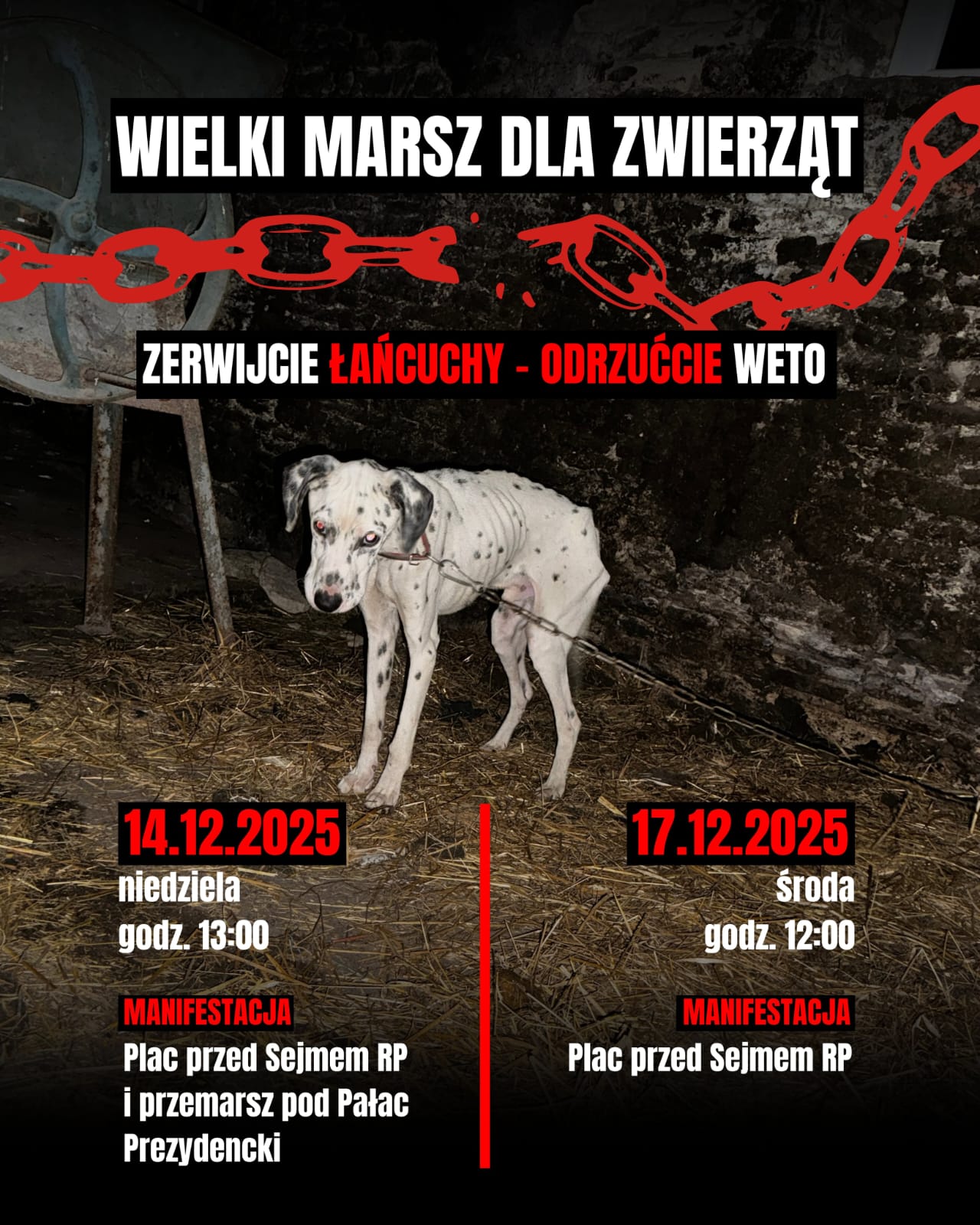 597897701_827104153644700_124353645084862153_n