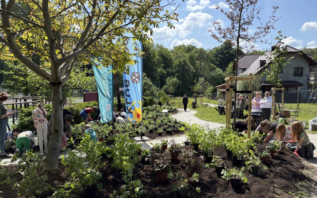 Park kieszonkowy w&nbsp;Szkole Podstawowej nr&nbsp;31 w&nbsp;Bielsku-Białej